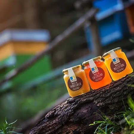 Alloggio per agriturismo La Pertica *