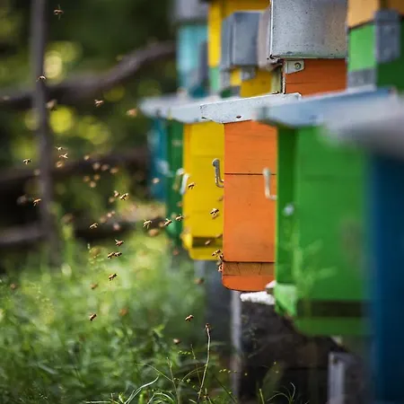 Alloggio per agriturismo La Pertica Costermano