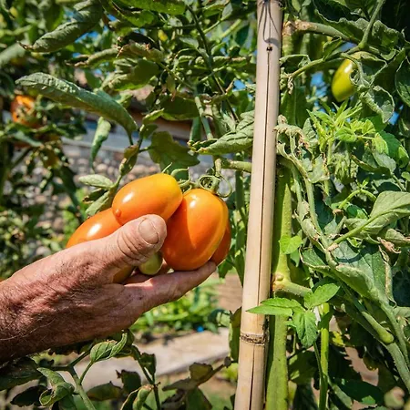 La Pertica Alloggio per agriturismo *