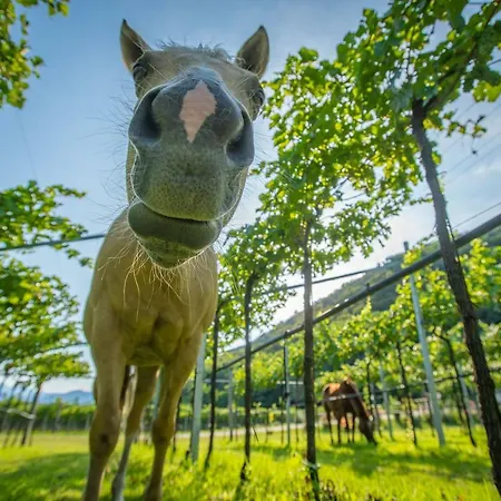 La Pertica Costermano
