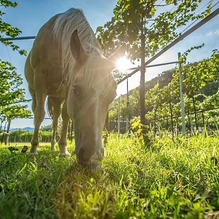 Alloggio per agriturismo La Pertica *
