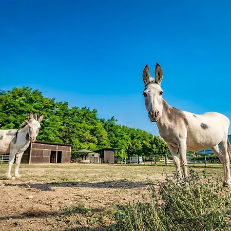 La Pertica Alloggio per agriturismo Costermano
