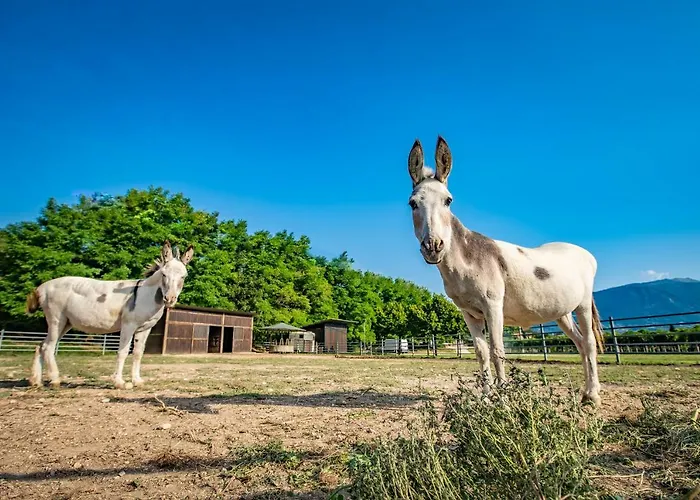 La Pertica Bauernhof Costermano sul Garda